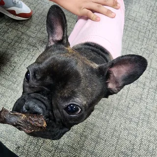 현정도건도이맘서핑입문님이 올린 리뷰 사진 3