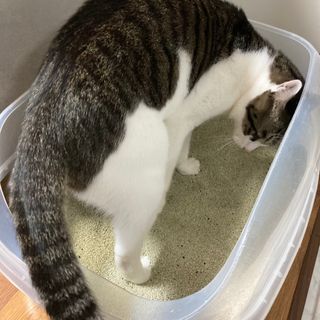 단아님이 올린 리뷰 사진 4