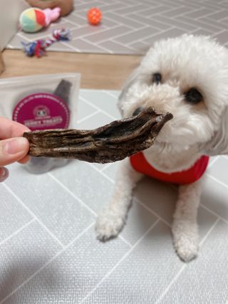 연쨩님이 올린 리뷰 사진 1