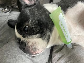 또용님이 올린 리뷰 사진 3