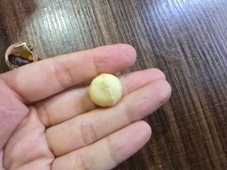 비나프렌즈 (구매평) 25년 햇 수확 알큰 프리미엄 껍질 까먹는 통 마카다미아 — 5점을 준 리뷰어가 2025년 8월 올린 사용 사진