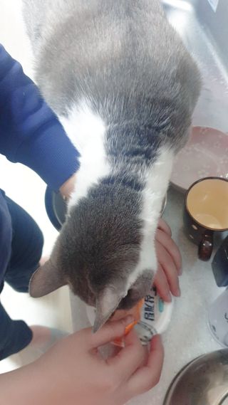 코린이님이 올린 리뷰 사진 2