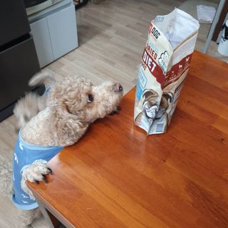 기린짱맘님이 올린 리뷰 사진 2