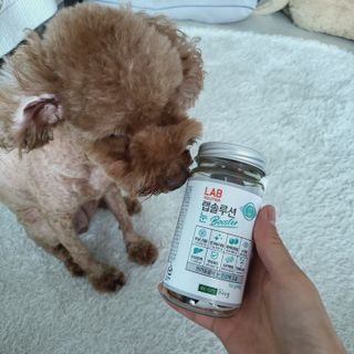 복깨비님이 올린 리뷰 사진 1