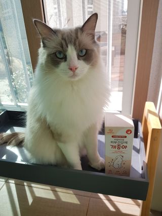 My Pet Care 모발과 모질 피부건강에 개좋아 — 5점을 준 리뷰어가 2021년 2월 올린 사용 사진