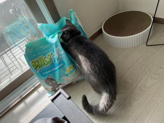 sehee님이 올린 리뷰 사진 4