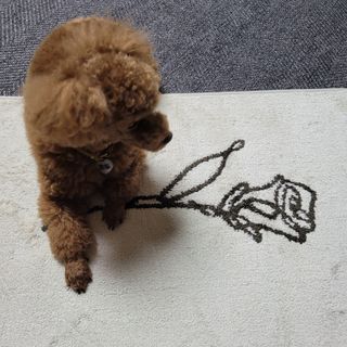 란다김님이 올린 리뷰 사진 3