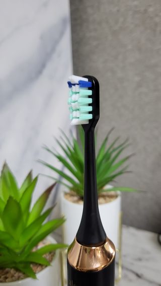 다시님이 올린 리뷰 사진 2