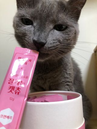 냥냥이님이 올린 리뷰 사진 1