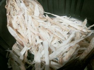 [오늘바스켓] 용대리 손질하늘태 130g — 5점을 준 리뷰어가 2021년 6월 올린 사용 사진