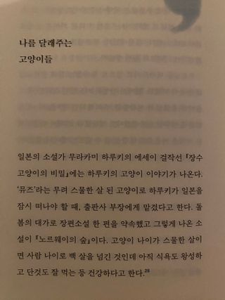 클로버님이 올린 리뷰 사진 1