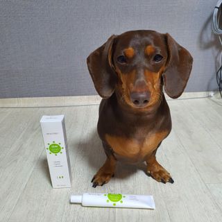이쁘콩님이 올린 리뷰 사진 1