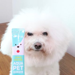 펫시랩 반려견용 액상 프리바이오틱스 아쿠아펫 — 5점을 준 리뷰어가 2021년 1월 올린 사용 사진