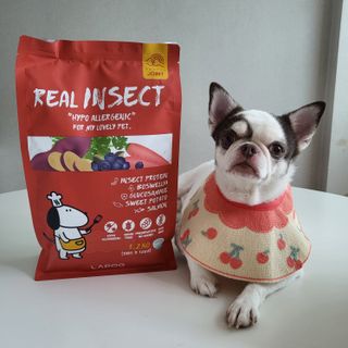 [푸디웜] 라포그  리얼인섹트 관절 저알러지 강아지 사료  1.2KG — 5점을 준 리뷰어가 2022년 8월 올린 사용 사진