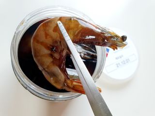 도운맘님이 올린 리뷰 사진 1