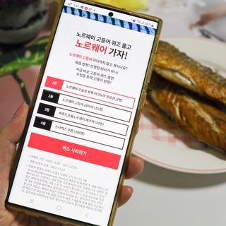 ㈜금호통상 노르웨이 고등어 900g (6~10편) — 5점을 준 리뷰어가 2022년 11월 올린 사용 사진