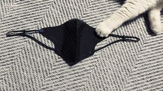 토모님이 올린 리뷰 사진 3