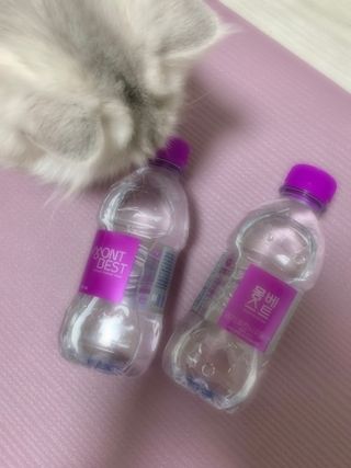 채린님이 올린 리뷰 사진 2