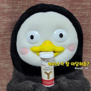 메이준뉴트리 메이준쎌 편안해질 여성유산균 — 5점을 준 리뷰어가 2021년 2월 올린 사용 사진