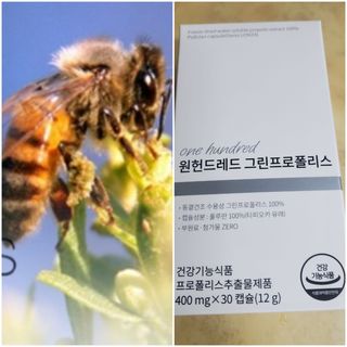 메디타민 원헌드레드 그린프로폴리스 — 5점을 준 리뷰어가 2021년 12월 올린 사용 사진