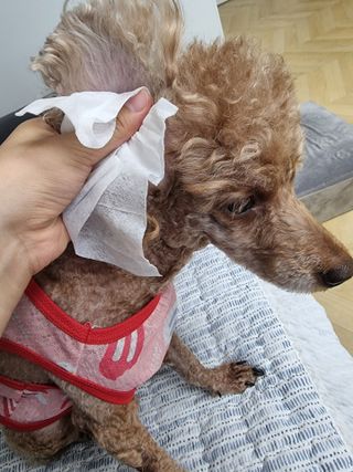 하니월드님이 올린 리뷰 사진 4