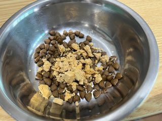 [펫시밀] 원물그대로 영양듬뿍 진공동결건조 북어트릿75g,치킨트릿100g,연어트릿75g 강아지 고양이 간식 — 5점을 준 리뷰어가 2023년 6월 올린 사용 사진
