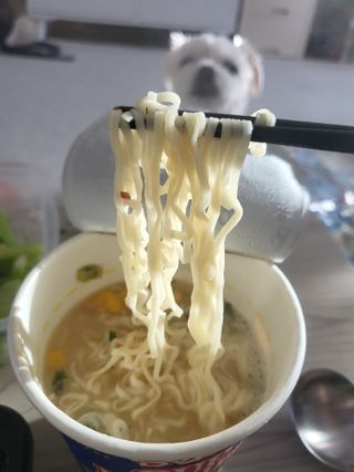 NISSIN 닛신 컵누들  4종 - 씨푸드오리지날, 씨푸드 스파이시, 씨푸드 커리, 씨푸드 XO소스 — 5점을 준 리뷰어가 2021년 11월 올린 사용 사진
