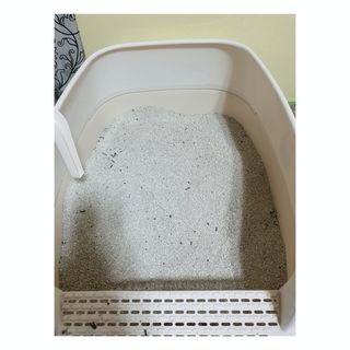 겟플렉스 켓플렉스 캣츠룸BS-1 고양이모래 4kg — 5점을 준 리뷰어가 2021년 1월 올린 사용 사진
