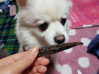 바나나님이 올린 리뷰 사진 2