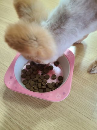 다솜이마마님이 올린 리뷰 사진 3