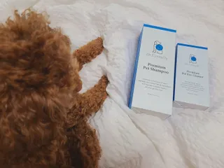 연이님이 올린 리뷰 사진 2