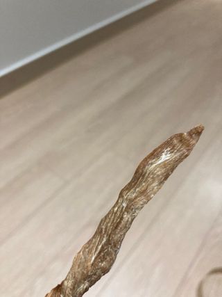 [보헤리] 국내산 강아지 육포간식 바삭 64 2종 — 3.5점을 준 리뷰어가 2022년 3월 올린 사용 사진