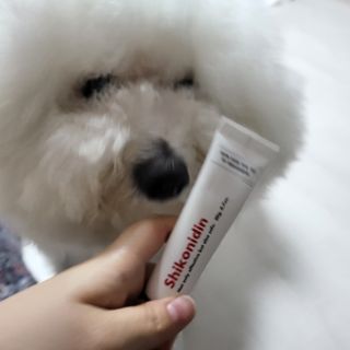 [자유펫] 시코니딘 고양이 강아지 피부 보습 연고 20g — 5점을 준 리뷰어가 2021년 10월 올린 사용 사진