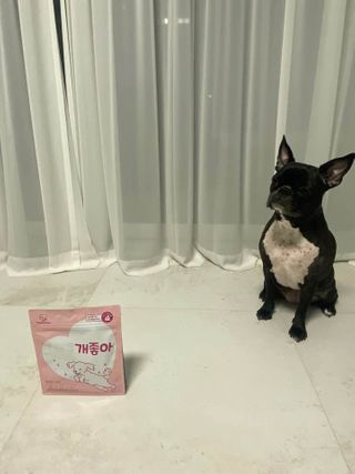 My Pet Care 천연단백질 관절건강에 개좋아 — 5점을 준 리뷰어가 2021년 1월 올린 사용 사진