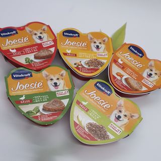 비타크래프트 조에시 하트캔 85g 강아지 습식캔 10캔 — 5점을 준 리뷰어가 2021년 9월 올린 사용 사진