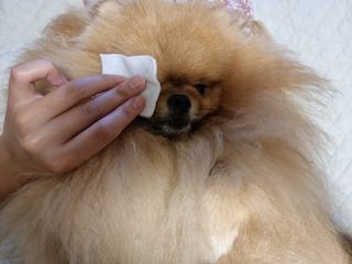 아롱이님이 올린 리뷰 사진 3