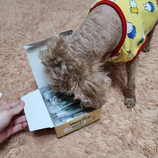 유나님이 올린 리뷰 사진 4