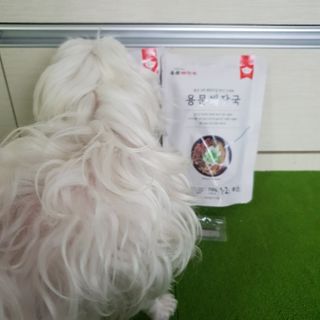 매실님이 올린 리뷰 사진 3