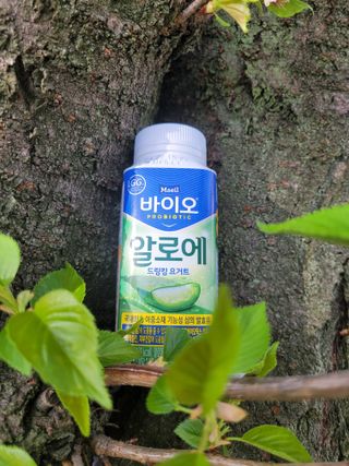 LIVE 매일바이오 알로에 드링킹 요거트 — 5점을 준 리뷰어가 2022년 4월 올린 사용 사진