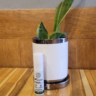 플랜토닌 프로폴리스 인후 스프레이 20ml — 5점을 준 리뷰어가 2023년 2월 올린 사용 사진