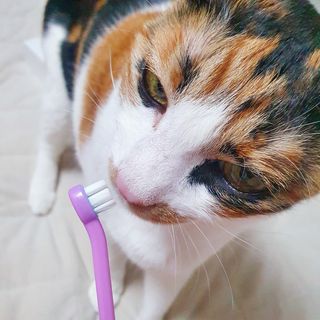 JENNY님이 올린 리뷰 사진 2