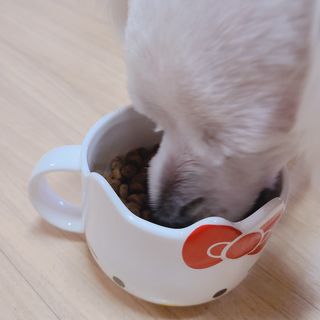 슝늉님이 올린 리뷰 사진 2
