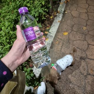 보미누나님이 올린 리뷰 사진 1