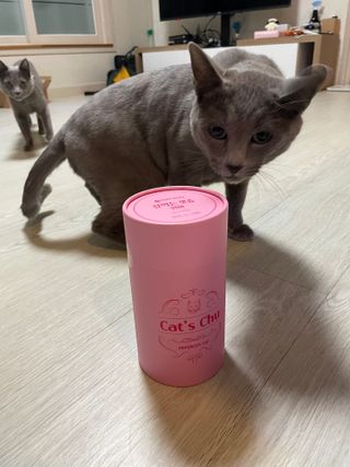 페페로니 잘 먹는 캣츄 - 알래스카 연어 24개입 — 5점을 준 리뷰어가 2021년 7월 올린 사용 사진