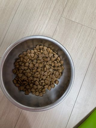 도도님이 올린 리뷰 사진 3
