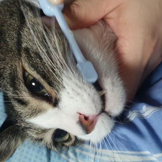 두냥이누나님이 올린 리뷰 사진 1