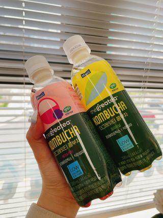 더그레잇티 콤부차 [매일유업] 더그레잇티 44kcal 콤부차 300ml *12개입 (오리지널 6개+베리리치 6개) — 5점을 준 리뷰어가 2023년 7월 올린 사용 사진