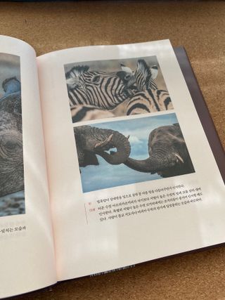 핑크레몬님이 올린 리뷰 사진 4