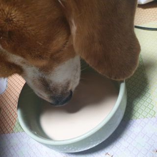 beaglelove님이 올린 리뷰 사진 3
