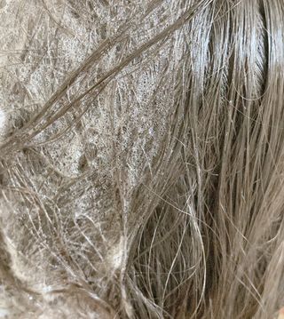 프리마인 더이상 뻣뻣하고 효과없는 탈모샴푸는 NO. 근본부터 케어하는 셀베이스 그린티샴푸(500ml) — 5점을 준 리뷰어가 2023년 5월 올린 사용 사진